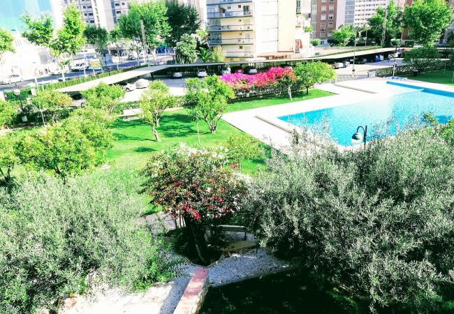 Apartment in Benidorm - R511WIFI LUXURY MODERN APARTMENT Apartment in Benidorm - R511WIFI LUXURY MODERN APARTMENT