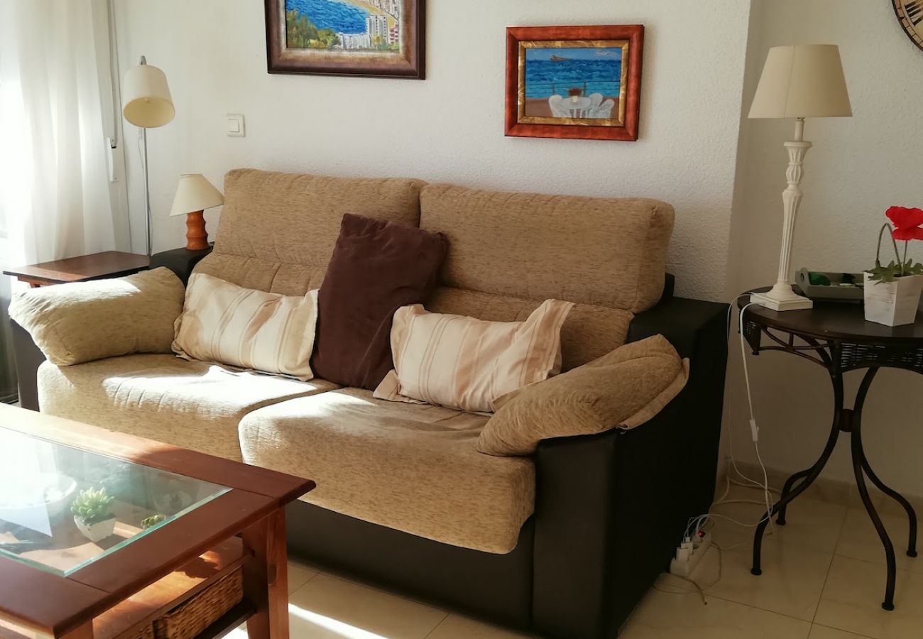 Apartment in Benidorm - R407 LOS RANCHOS LEVANTE APARTMENT Apartment in Benidorm - R407 LOS RANCHOS LEVANTE APARTMENT