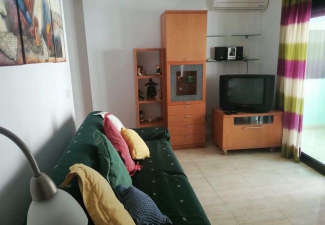 Apartment in Benidorm - R423 SANTA FAZ APARTMENT Apartment in Benidorm - R423 SANTA FAZ APARTMENT