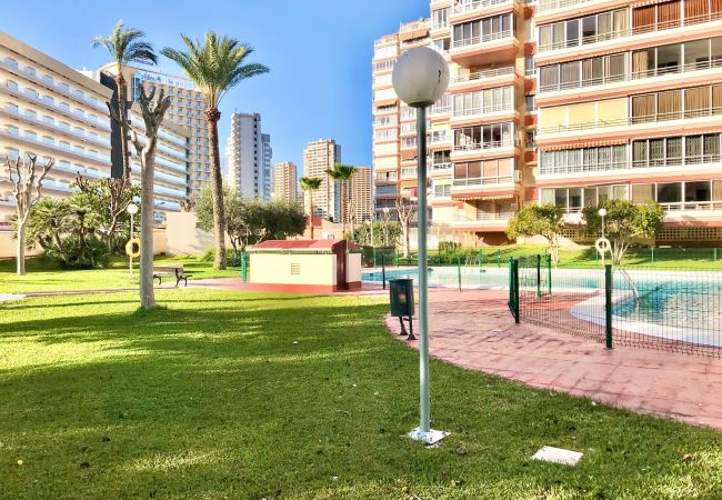 Apartment in Benidorm - R543 RINCON DE LOIX APARTMENT Apartment in Benidorm - R543 RINCON DE LOIX APARTMENT
