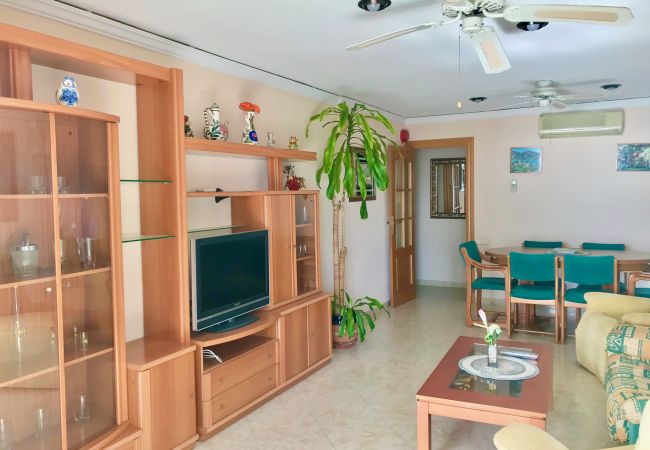 Apartment in Benidorm - R566 Front al Mar apartment Apartment in Benidorm - R566 Front al Mar apartment