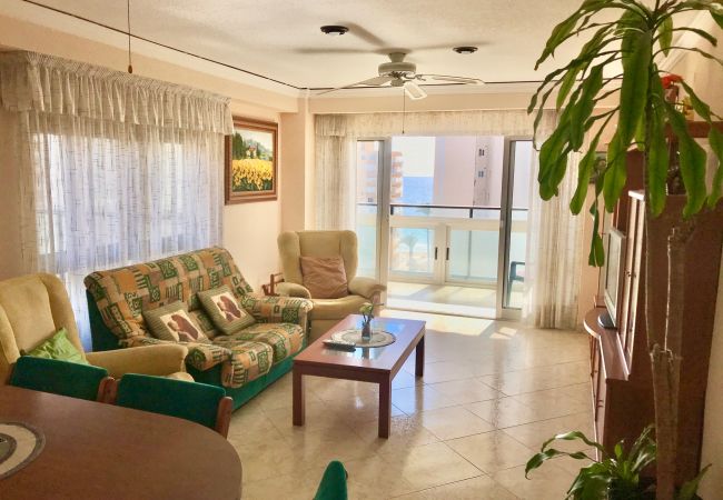 Apartment in Benidorm - R566 Front al Mar apartment Apartment in Benidorm - R566 Front al Mar apartment