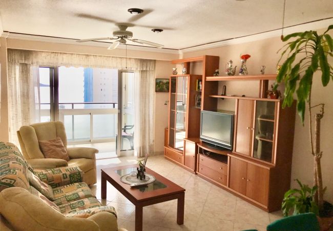 Apartment in Benidorm - R566 Front al Mar apartment Apartment in Benidorm - R566 Front al Mar apartment