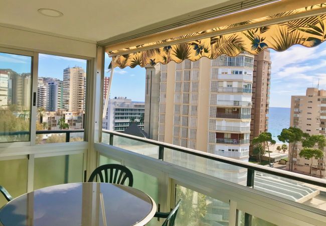 Apartment in Benidorm - R566 Front al Mar apartment Apartment in Benidorm - R566 Front al Mar apartment