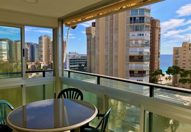 Apartment in Benidorm - R566 Front al Mar apartment Apartment in Benidorm - R566 Front al Mar apartment