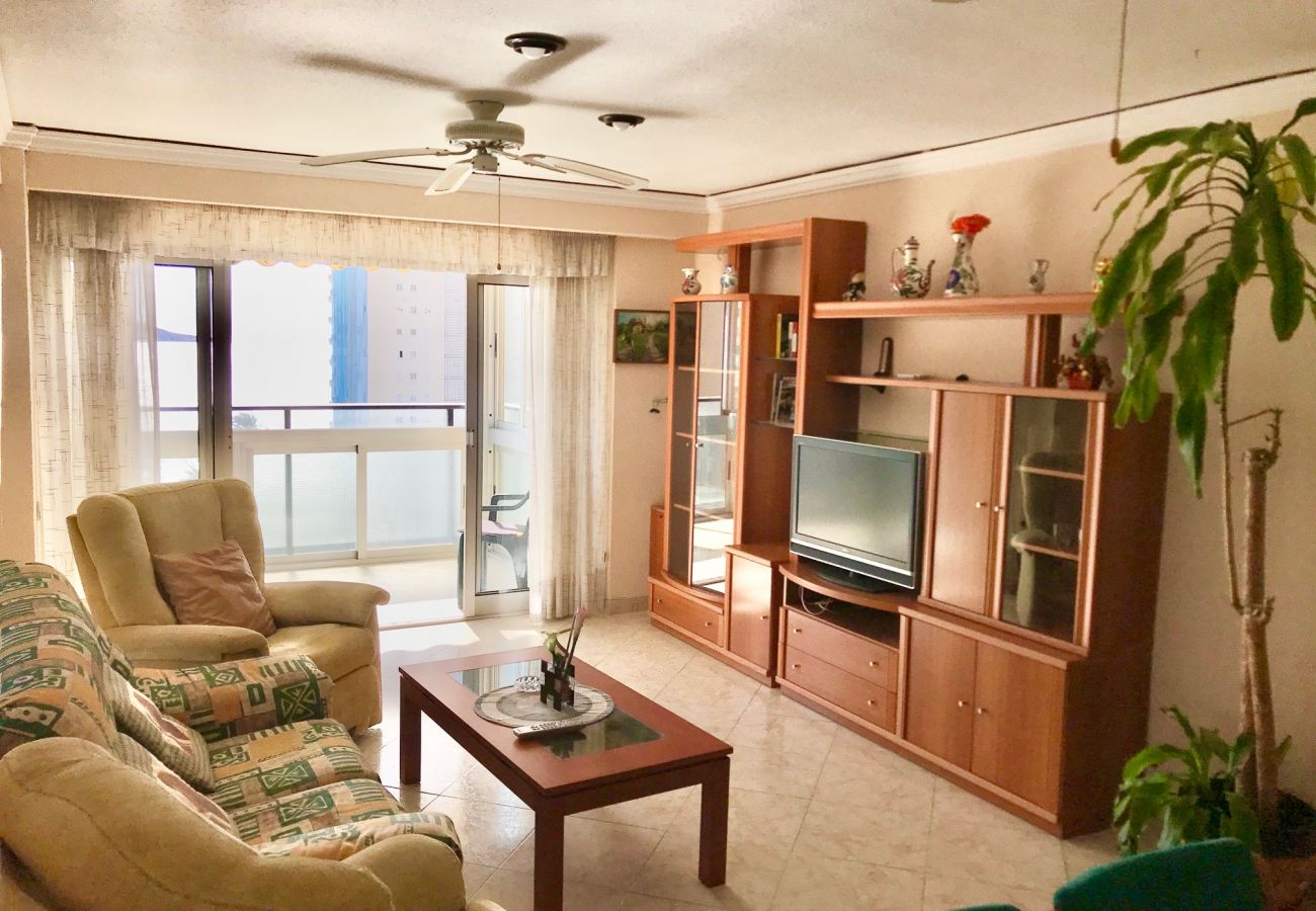 Apartment in Benidorm - R566 Front al Mar apartment Apartment in Benidorm - R566 Front al Mar apartment