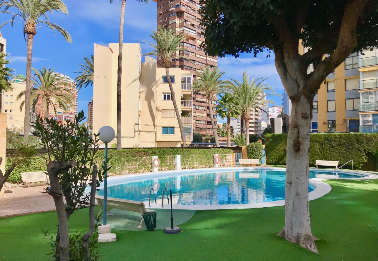 Apartment in Benidorm - R566 Front al Mar apartment Apartment in Benidorm - R566 Front al Mar apartment
