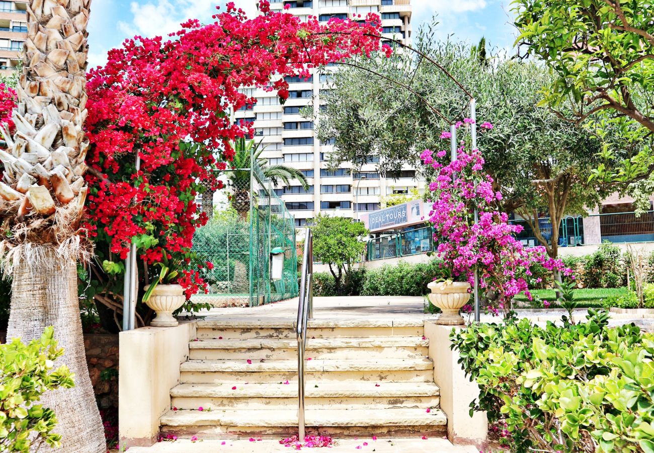 Apartment in Benidorm - WIFI LUXURY MODERN APARTMENT R056