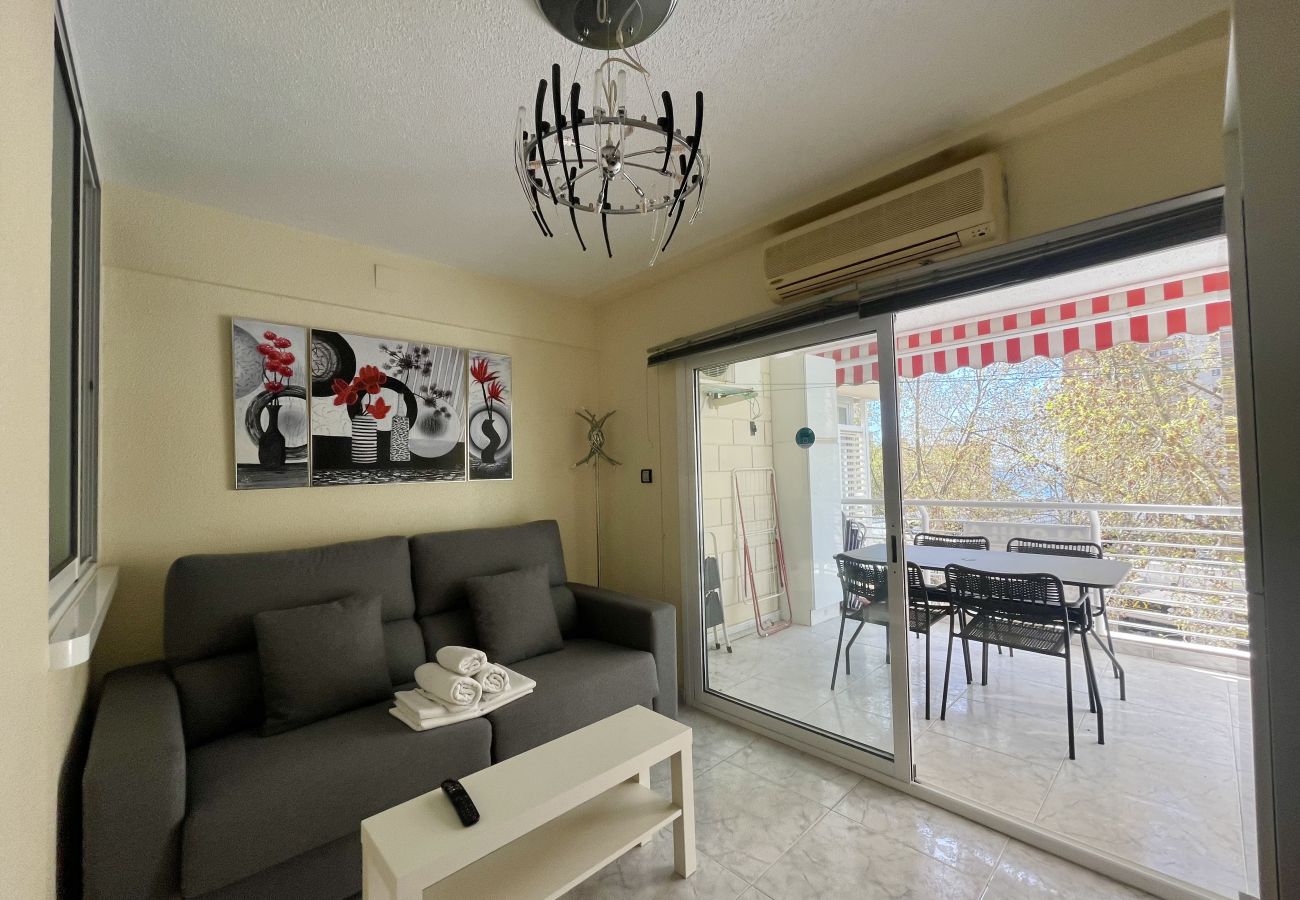 Apartment in Benidorm - MAGNIFICENT MEDITERRANEO APARTMENT R057