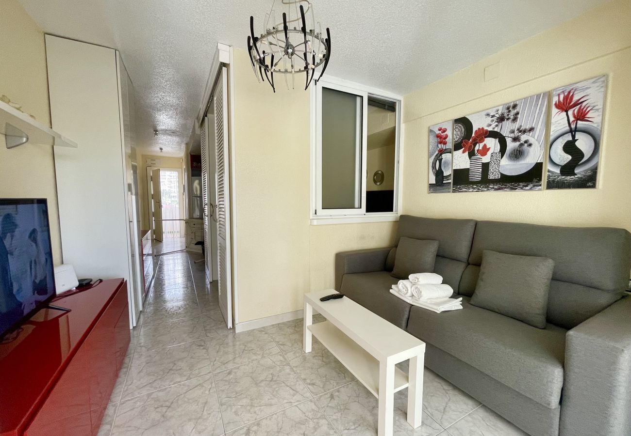 Apartment in Benidorm - MAGNIFICENT MEDITERRANEO APARTMENT R057