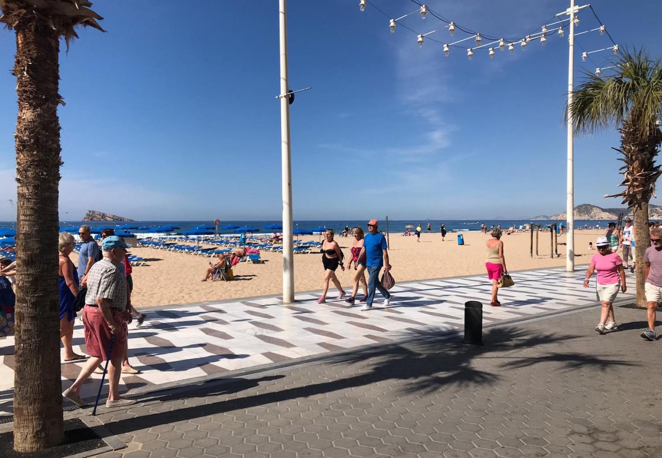 Apartment in Benidorm - LOVELY LEVANTE SEAFRONT BLUELINE R052
