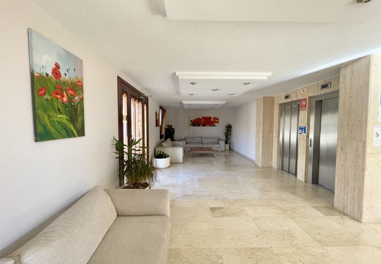 Apartment in Benidorm - TORRE VALENCIA LEVANTE BEACH R046