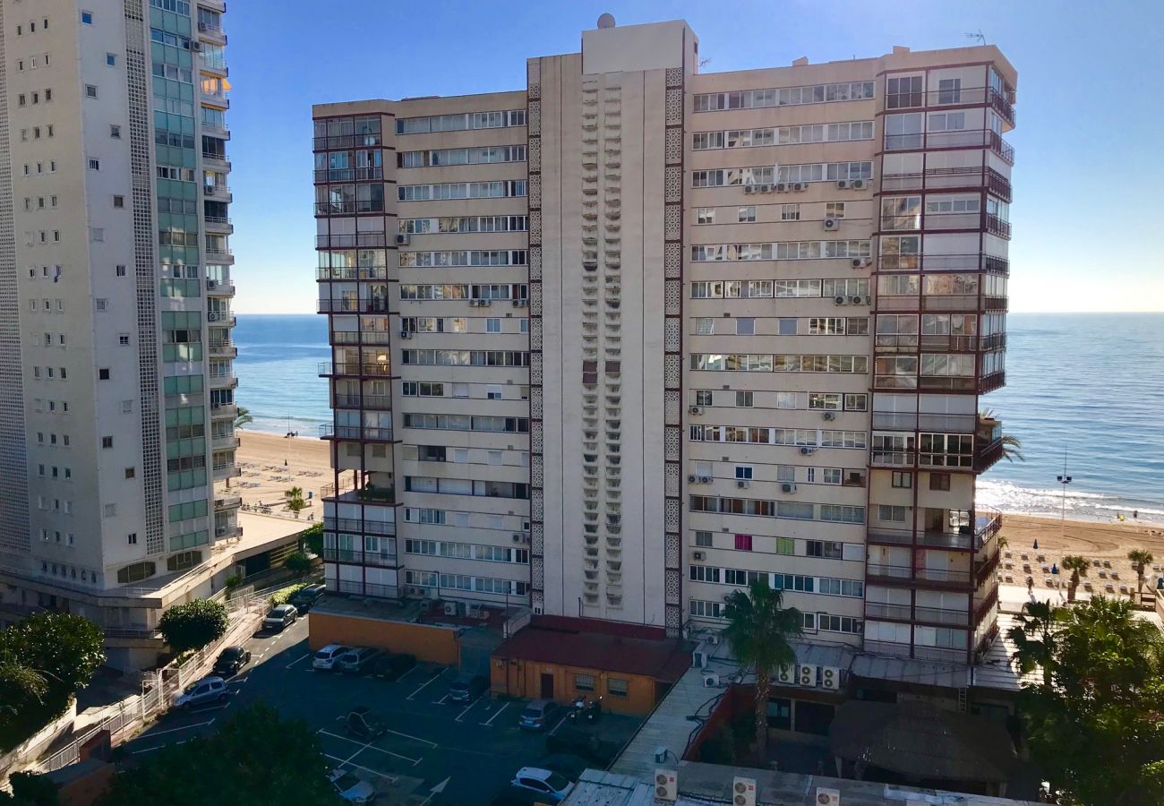 Apartment in Benidorm - BEATRIZ APARTMENT LEVANTE BEACH R041