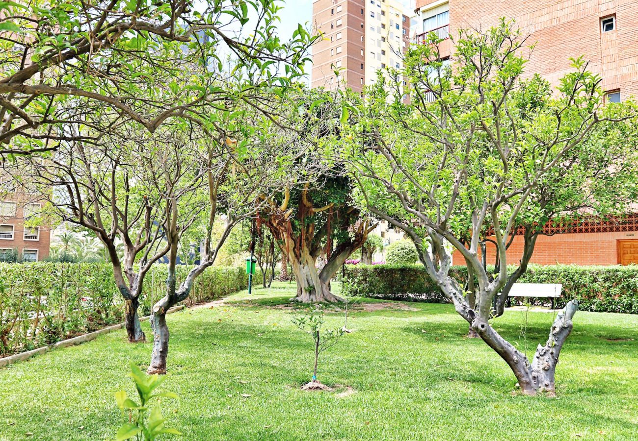 Apartment in Benidorm - PRINCIPADO EUROPA FREE WIFI R040