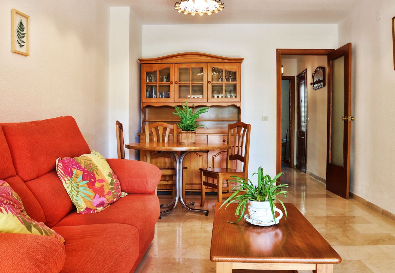 Apartment in Benidorm - PRINCIPADO EUROPA FREE WIFI R040