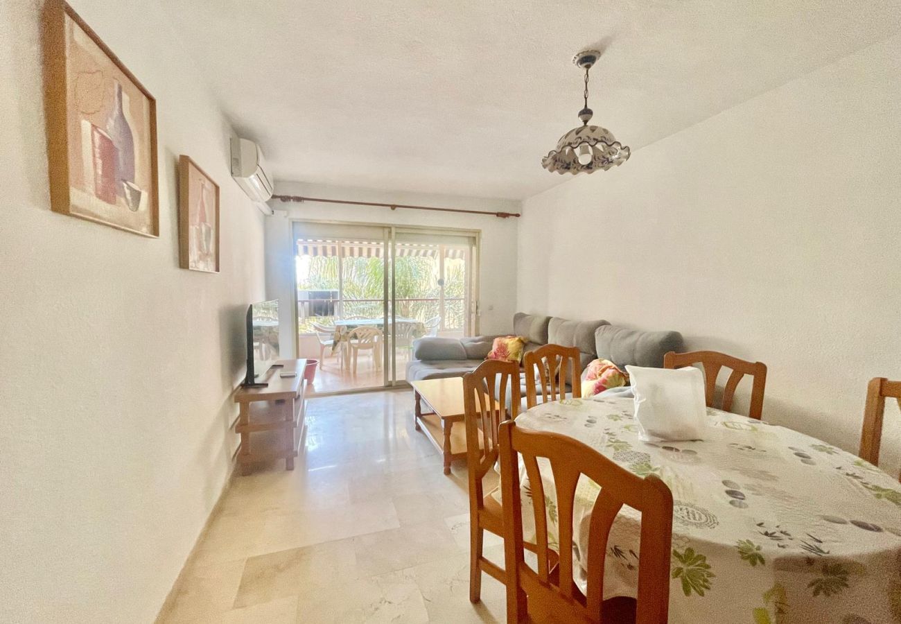 Apartment in Benidorm - PRINCIPADO EUROPA FREE WIFI R040