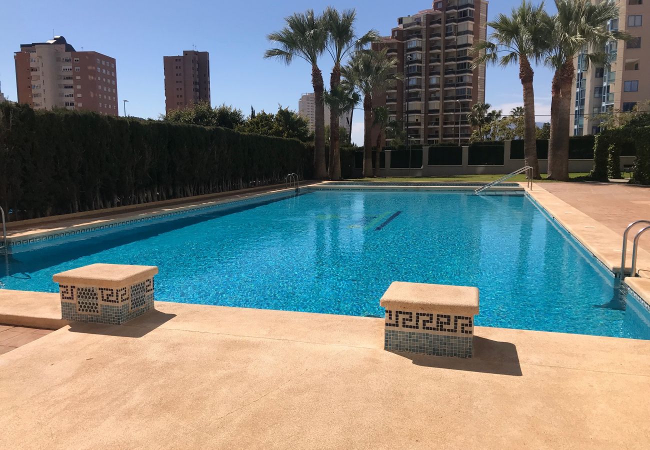 Apartment in Benidorm - APARTMENT IN PONIENTE BEACH R033