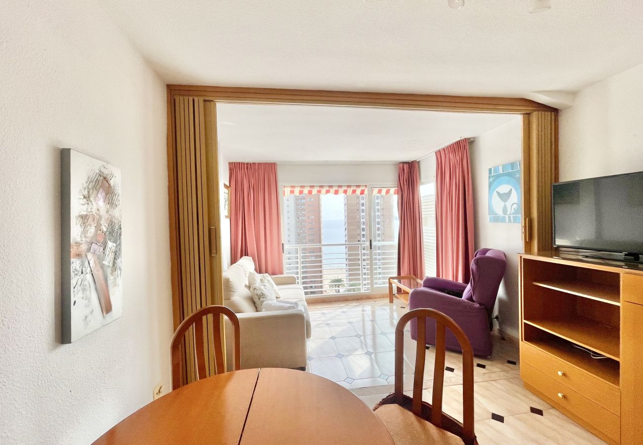 Apartment in Benidorm - APARTMENT IN AV MEDITERRANEO R032