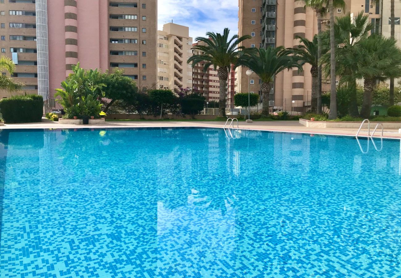 Apartment in Benidorm - PARAISO 10 BLUELINE R013