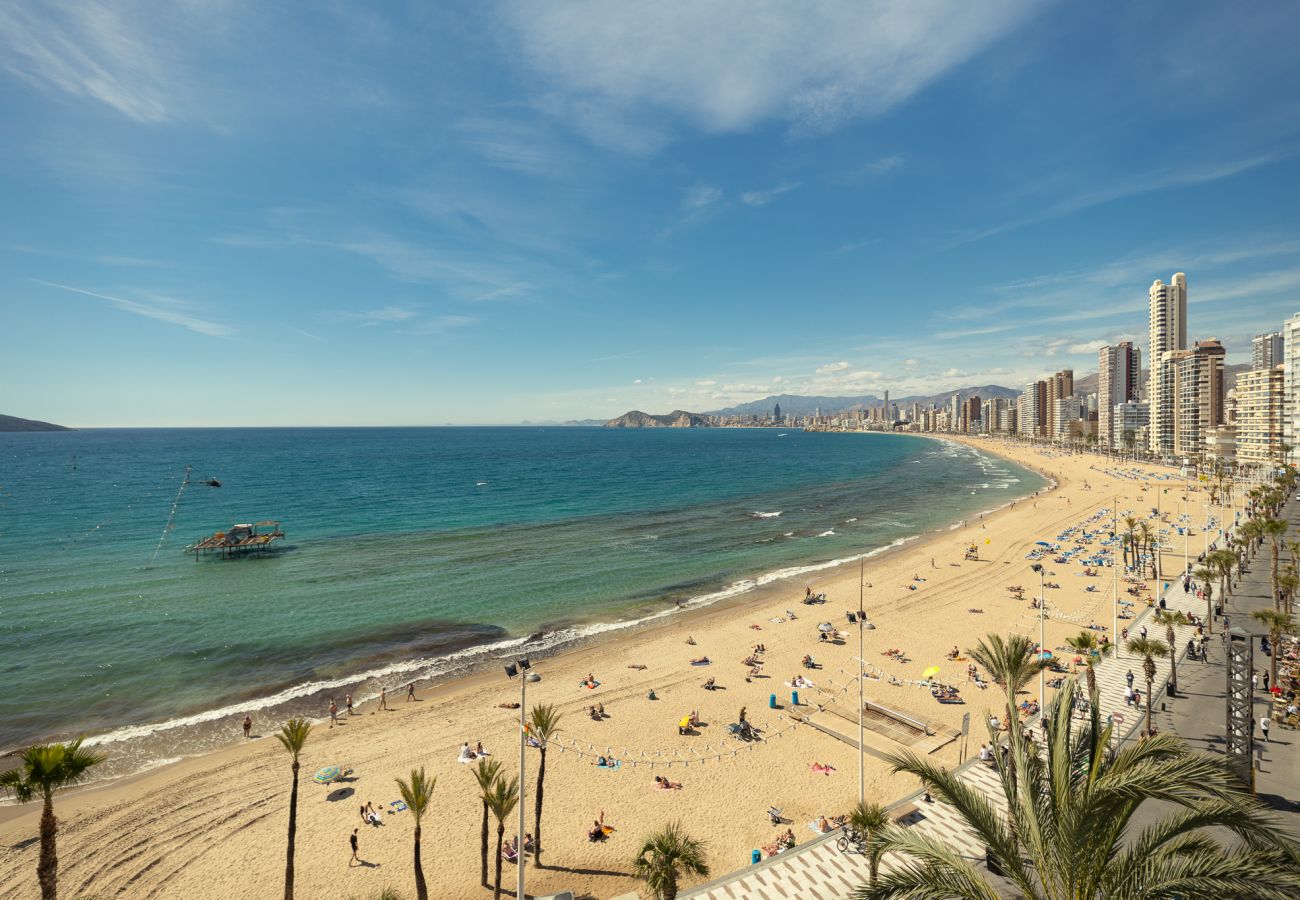 Apartment in Benidorm - Levante Sunset Front line apartment Almadraba (R020)