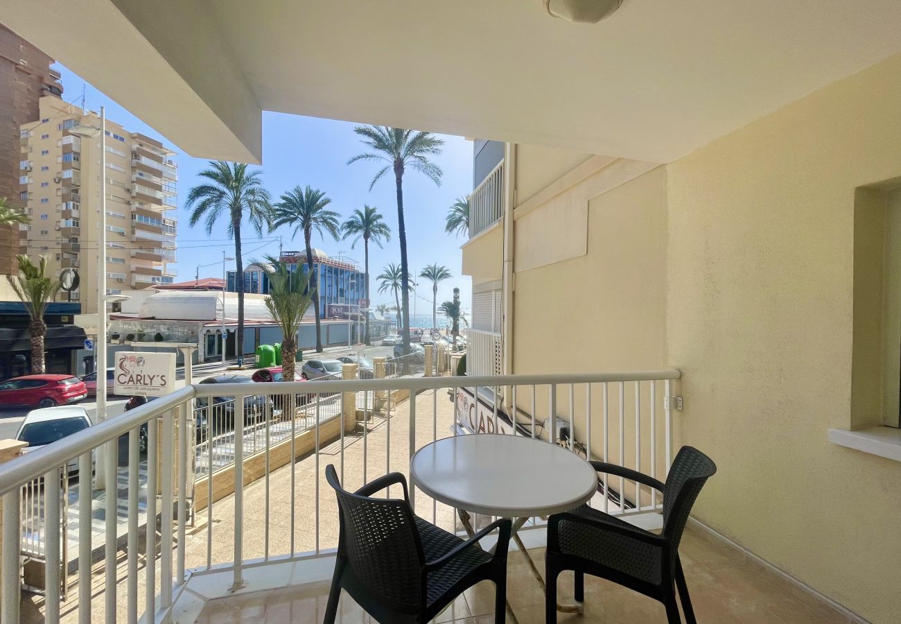 Apartment in Benidorm - REX APARTMENT LEVANTE BEACH R004