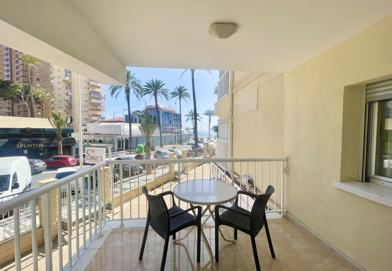 Apartment in Benidorm - REX APARTMENT LEVANTE BEACH R004