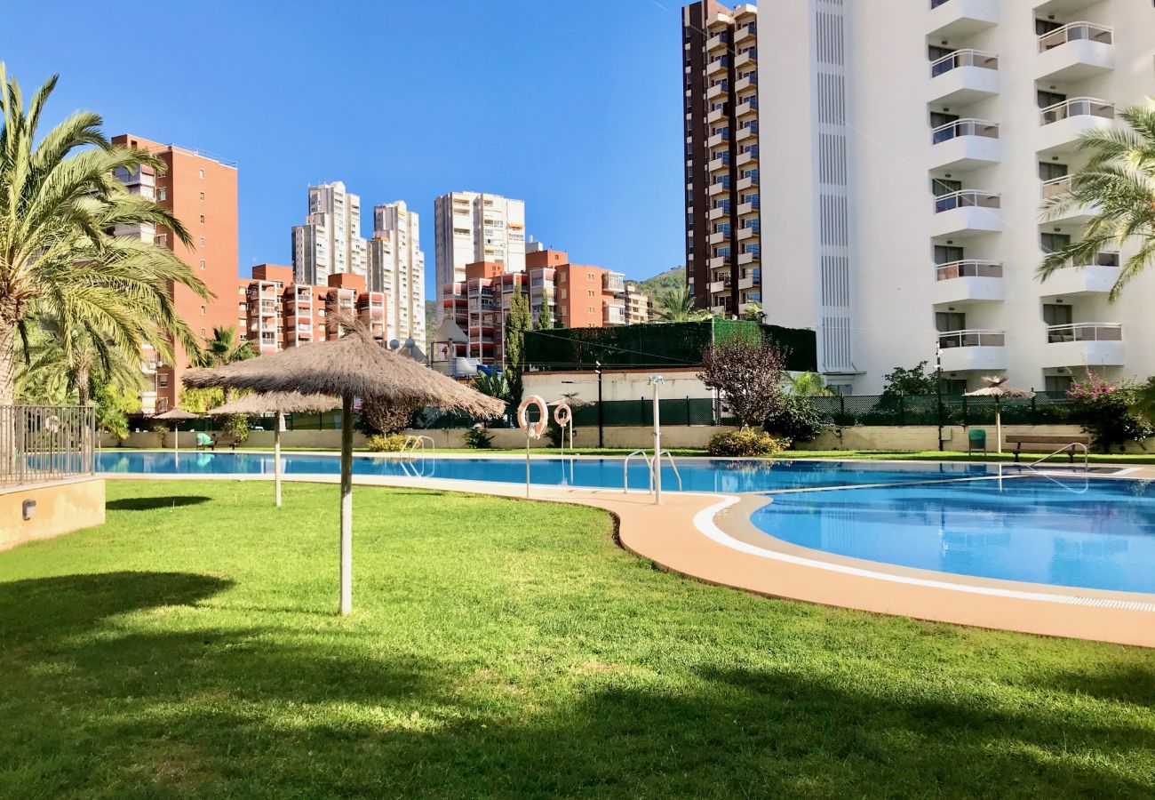 Apartment in Benidorm - GEMELOS 26 BLUELINE LOW FLOOR R012
