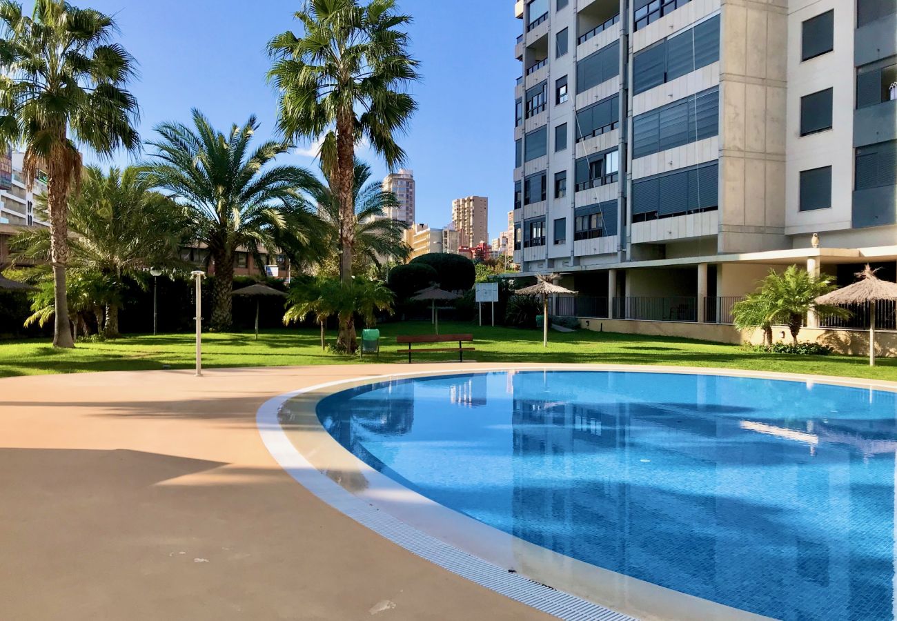 Apartment in Benidorm - GEMELOS 26 BLUELINE LOW FLOOR R012