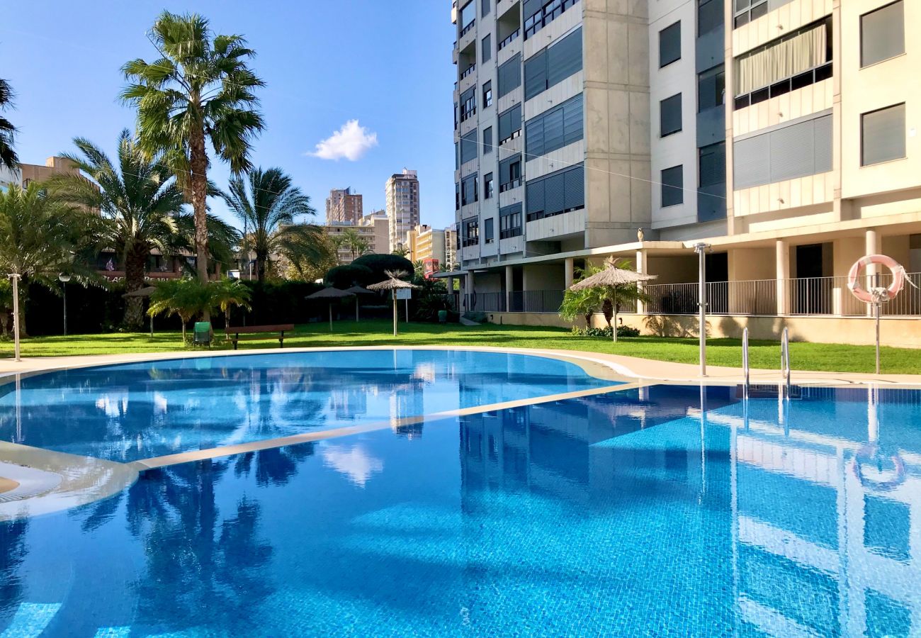 Apartment in Benidorm - GEMELOS 26 BLUELINE LOW FLOOR R012