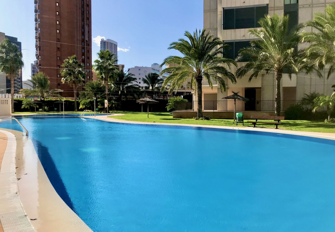 Apartment in Benidorm - GEMELOS 26 BLUELINE LOW FLOOR R012