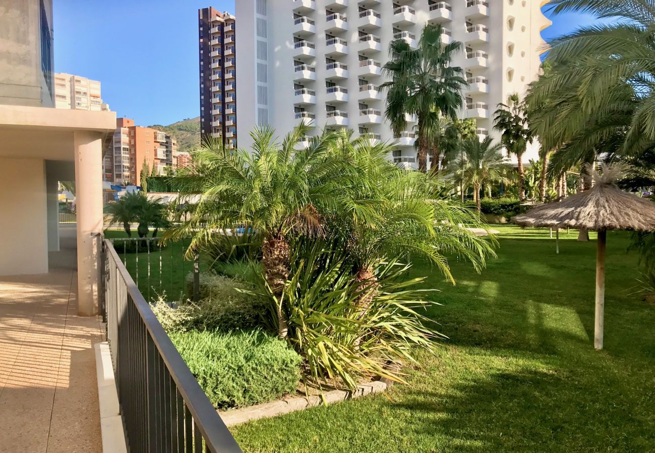 Apartment in Benidorm - GEMELOS 26 BLUELINE LOW FLOOR R012