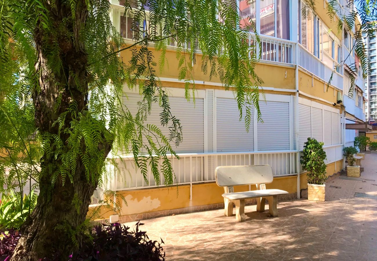 Apartment in Benidorm - MEDITERRANEAN AVENUE APARTMENT R019