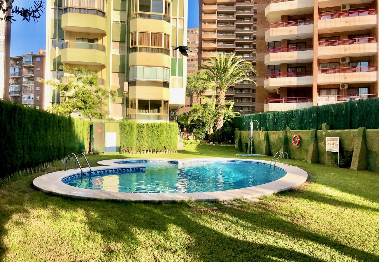 Apartment in Benidorm - APARTMENT IN LEVANTE BEACH BENIDORM R060