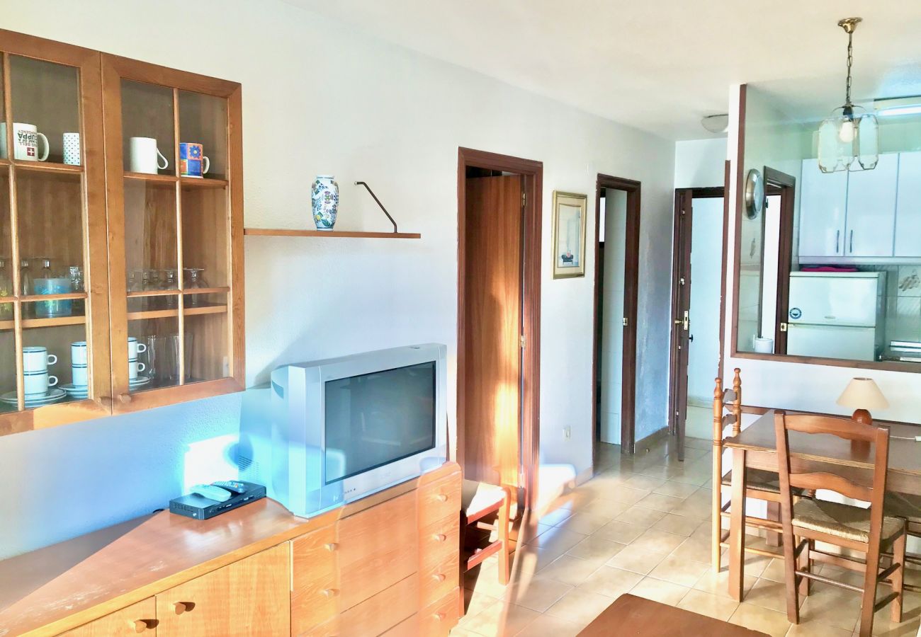 Apartment in Benidorm - APARTMENT IN LEVANTE BEACH BENIDORM R060