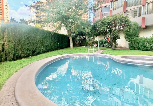 Apartment in Benidorm - RINCON APARTMENT R064