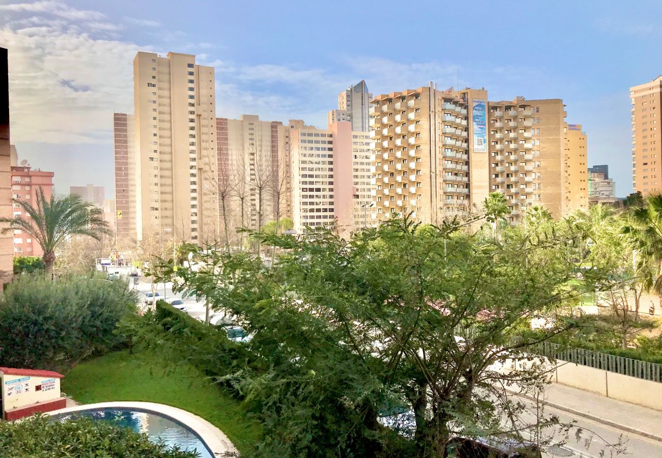 Apartment in Benidorm - RINCON APARTMENT R064