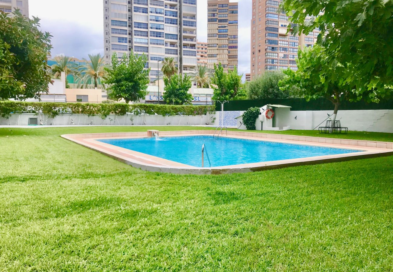 Apartment in Benidorm - EUROPA APARTMENT R068