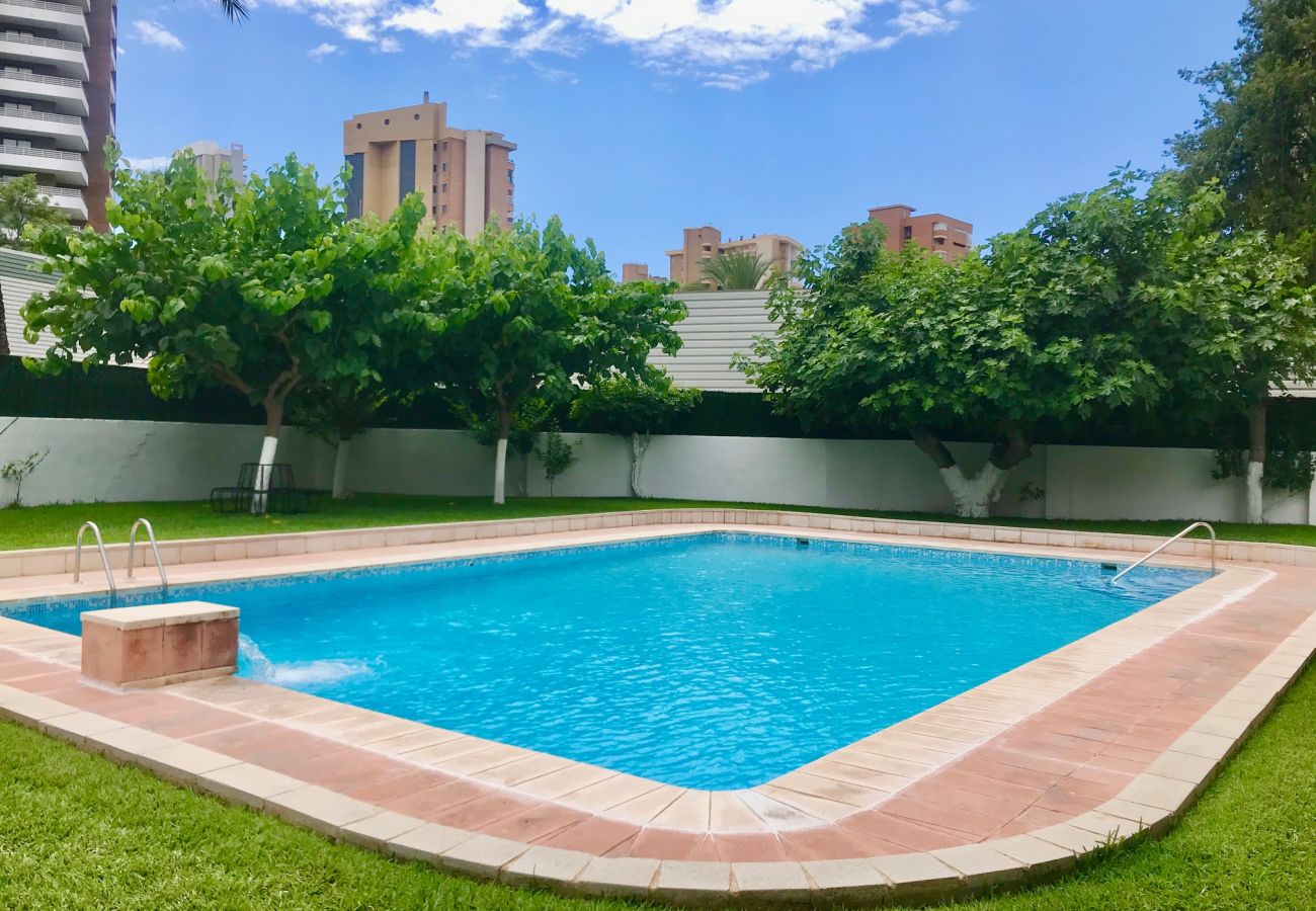 Apartment in Benidorm - EUROPA APARTMENT R068