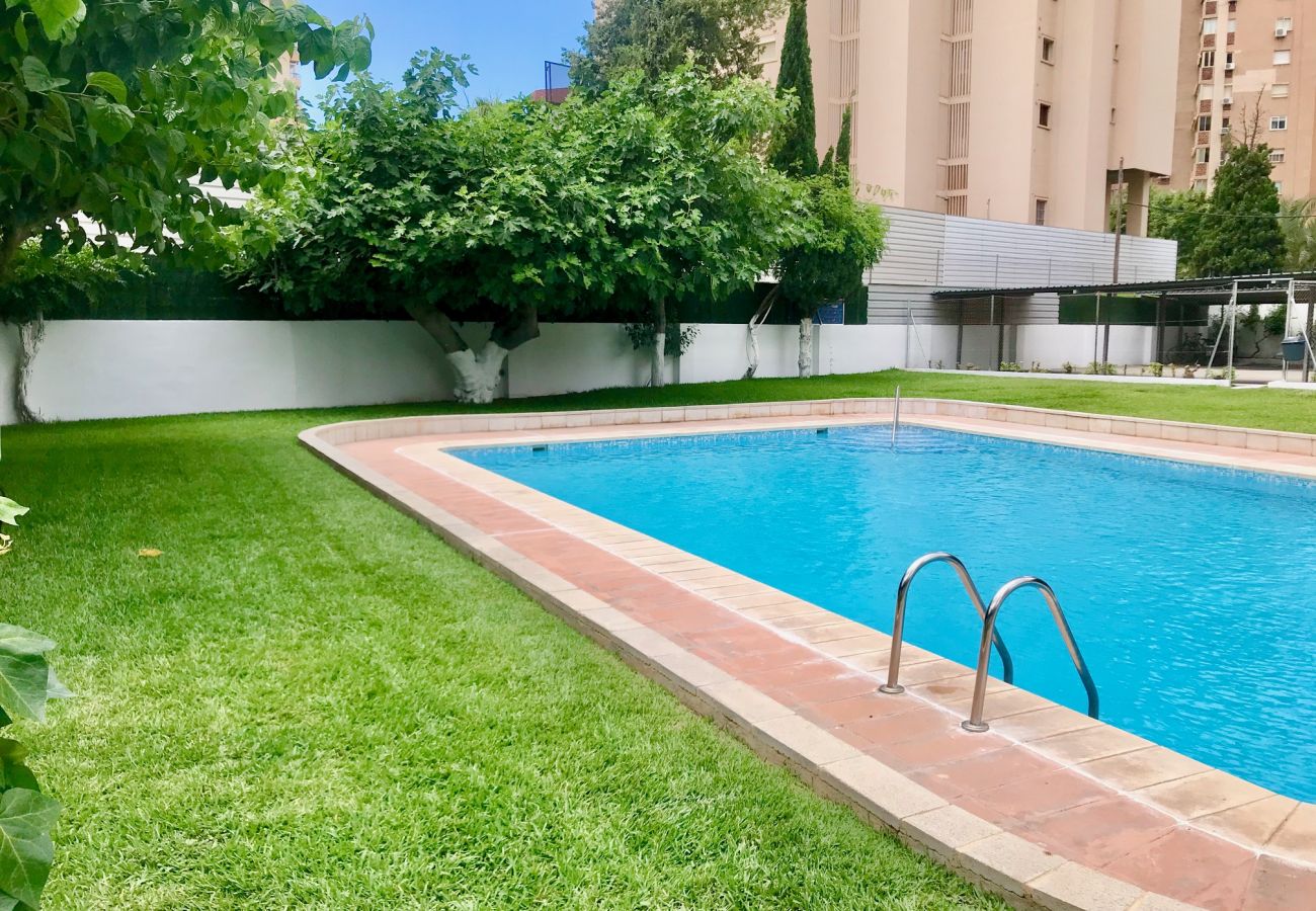 Apartment in Benidorm - EUROPA APARTMENT R068