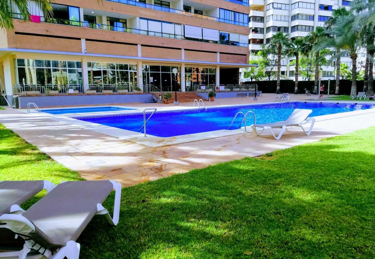 Apartment in Benidorm - PARAISO BENIDORM APARTAMENT R070