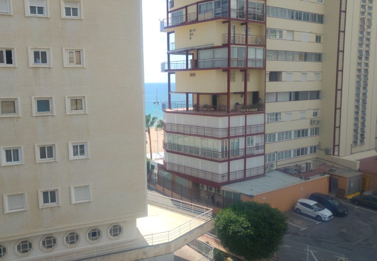 Apartment in Benidorm - REX AND SUN APARTMENT R073