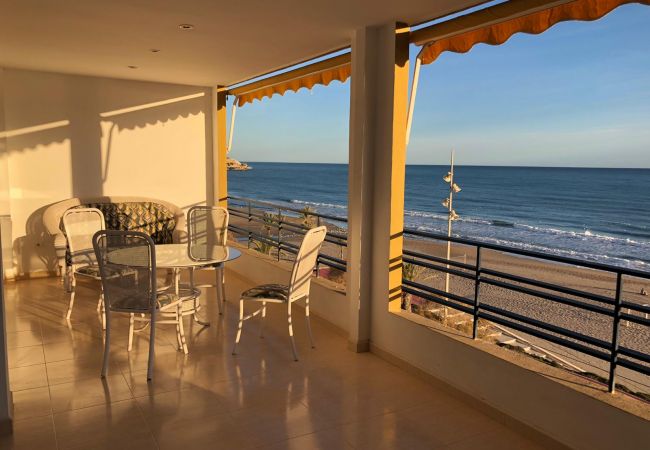  in Benidorm - SEAFRONT DALÍ APARTMENT R075