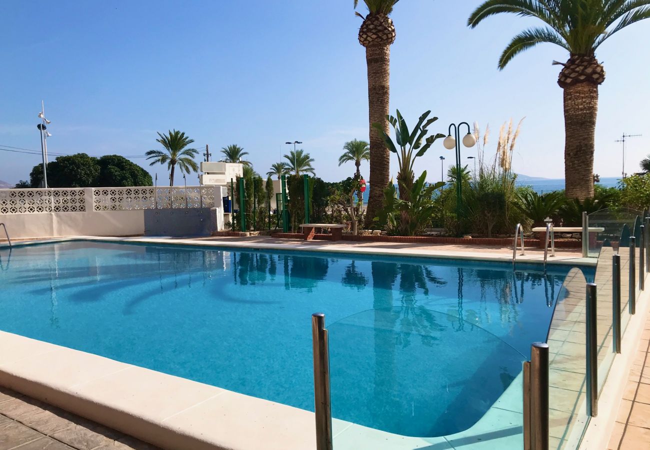 Apartment in Benidorm - MARINA PONIENTE APARTMENT R067