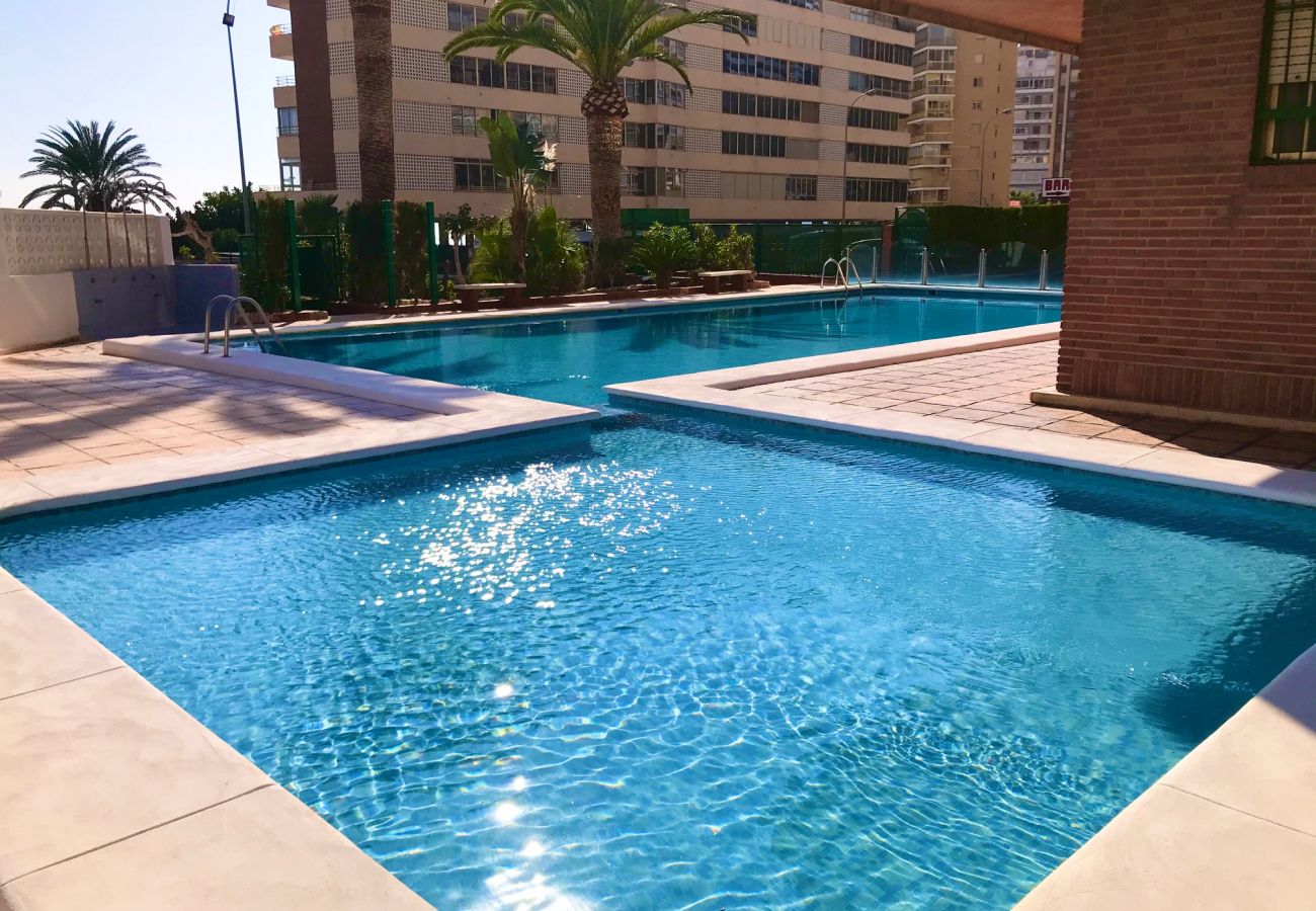 Apartment in Benidorm - MARINA PONIENTE APARTMENT R067