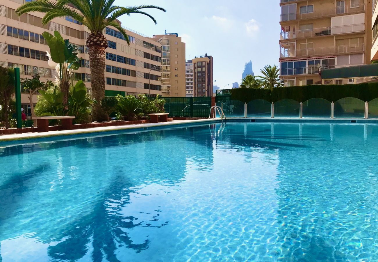 Apartment in Benidorm - MARINA PONIENTE APARTMENT R067