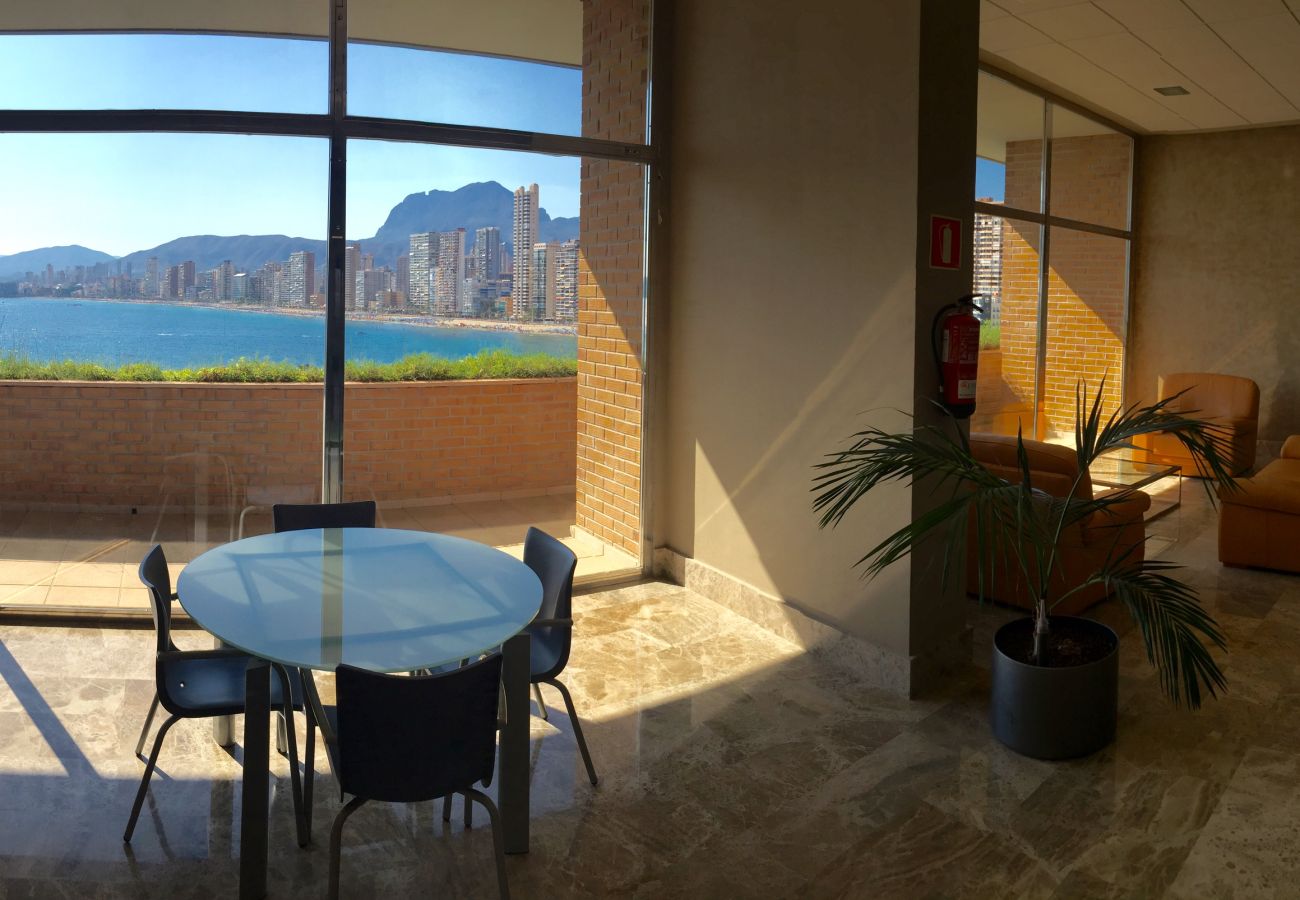 Apartment in Benidorm - LIDO APARTMENT BENIDORM R021