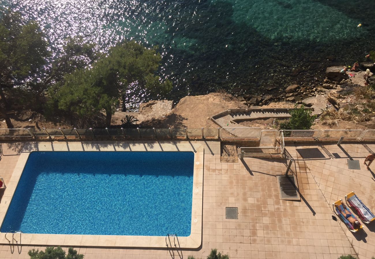 Apartment in Benidorm - LIDO APARTMENT BENIDORM R021