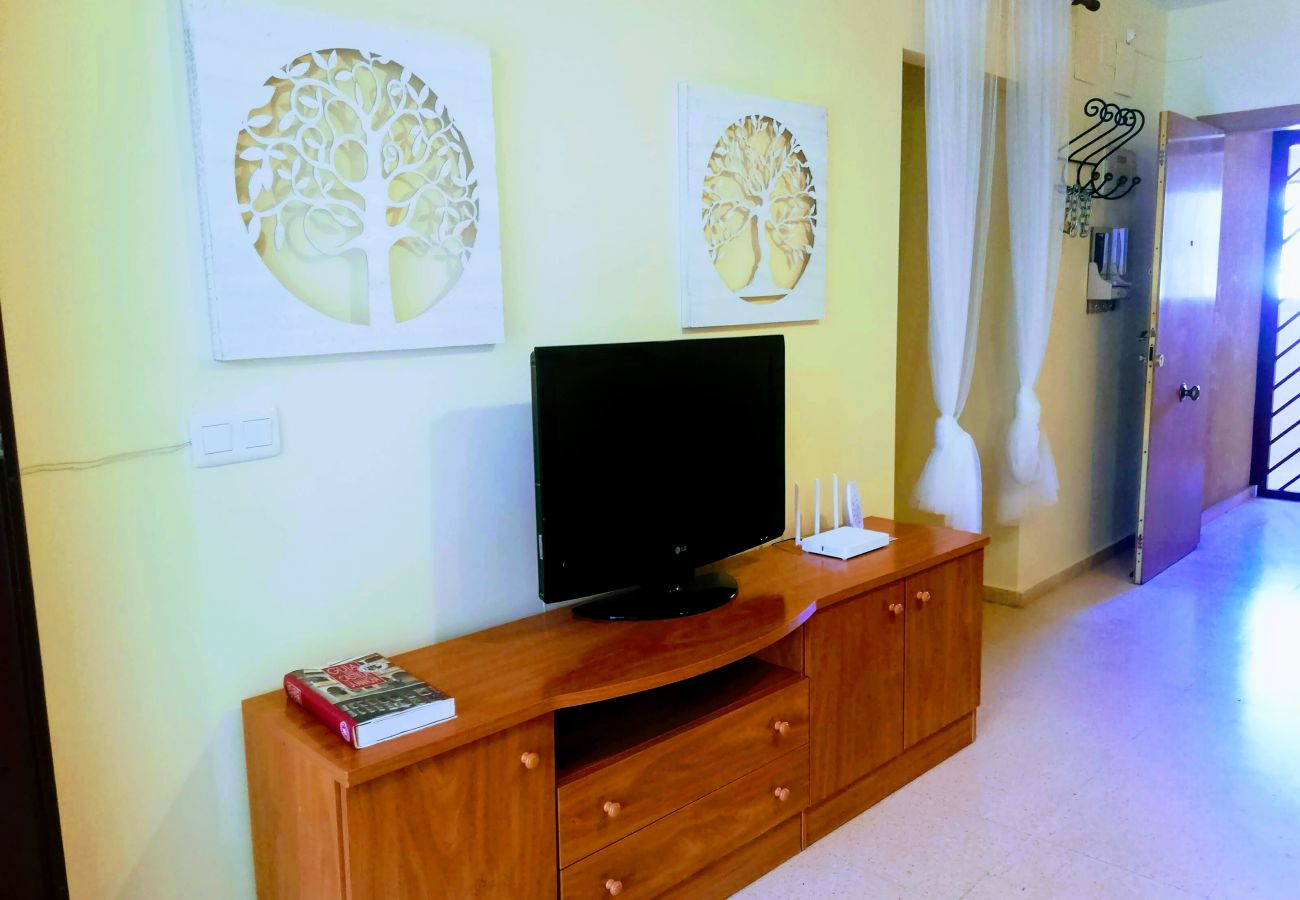 Apartment in Benidorm - APARTAMENTO ENTREPLAYAS 2 R081
