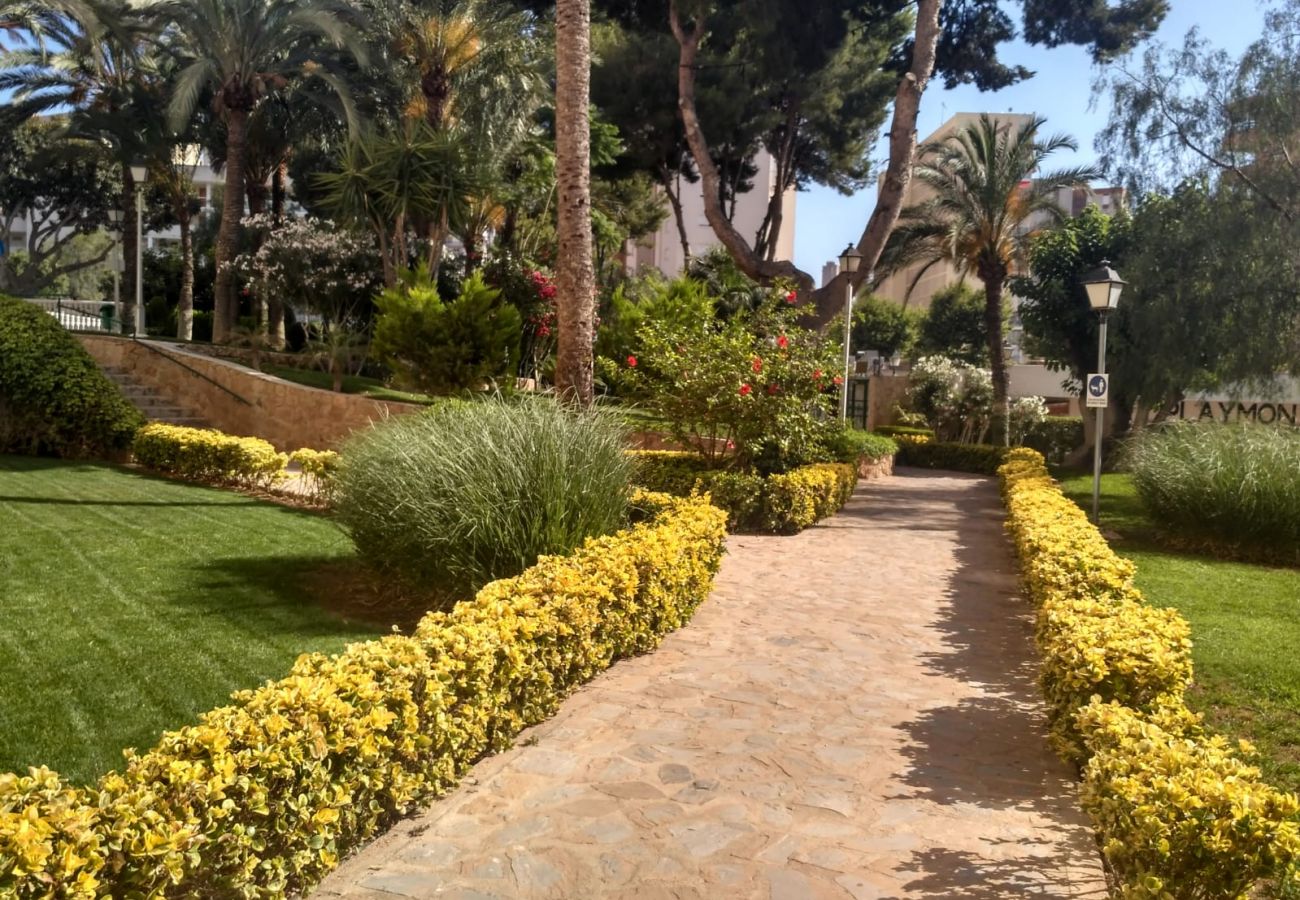 Apartment in Benidorm - WIFI LOIX APARTMENT R085