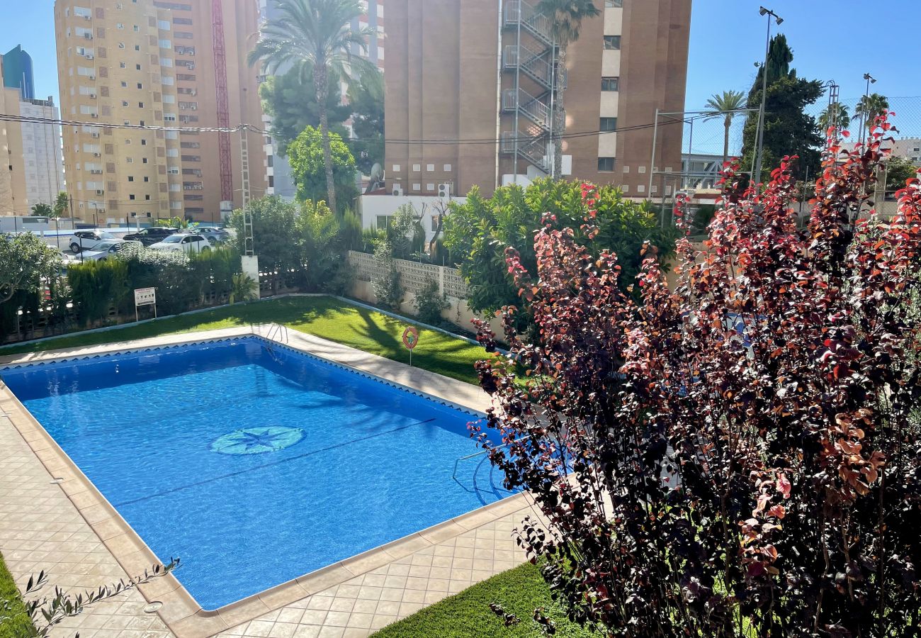 Apartment in Benidorm - ACACIAS BENIDORM VIEWS R098